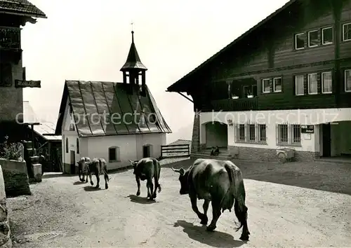 Andiast Dorfpartie mit Postgebaeude Kapelle Almabtrieb Kuehe Andiast