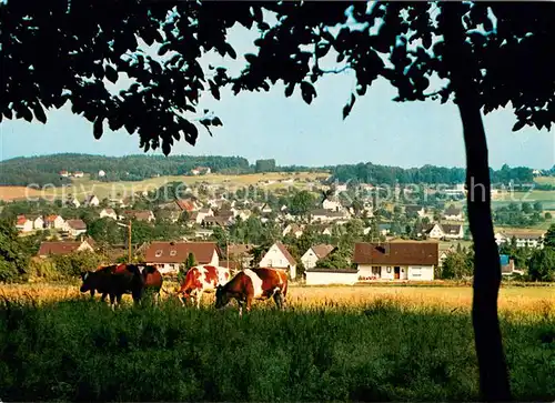 Bierenbachtal Ansicht vom Waldrand aus Viehweide Kuehe Bierenbachtal