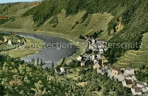 Brodenbach_Mosel Panorama 