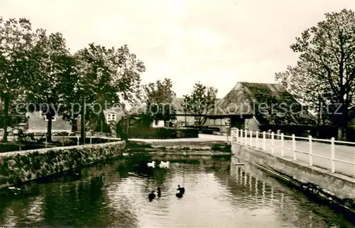 Hohenfelde_Kiel Schwanenteich Hohenfelde Kiel