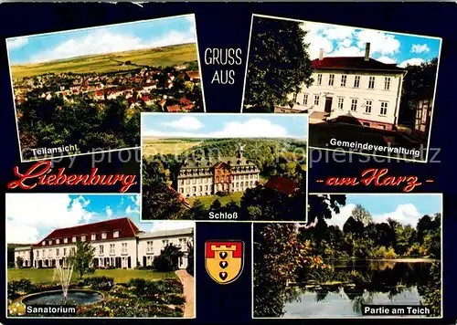 Liebenburg Panorama Gemeindeverwaltung Sanatorium Schloss Partie am Teich Liebenburg