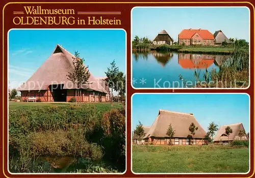 AK / Ansichtskarte Oldenburg_Holstein Wallmuseum Details Oldenburg_Holstein