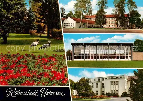 AK / Ansichtskarte Uetersen Park Schule Stadthalle Uetersen