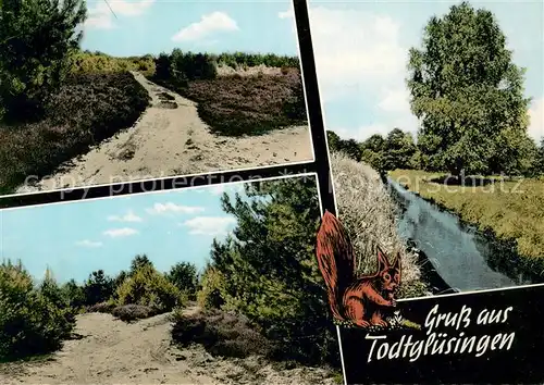 AK / Ansichtskarte Todtgluesingen Strandweg Kanal Todtgluesingen