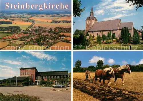 AK / Ansichtskarte Steinbergkirche Luftbild Kirche Amtshaus Feldarbeit Pferdepflug Steinbergkirche