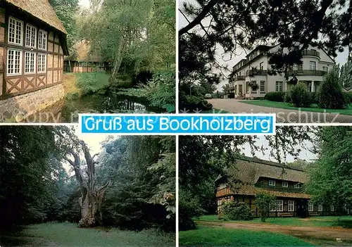 AK / Ansichtskarte Bookholzberg Alte Gebaeude Hotel Natur Alter Baum Bookholzberg