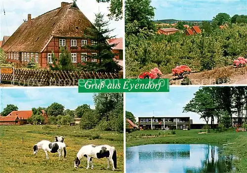 AK / Ansichtskarte Eyendorf_Lueneburger_Heide Reetdachhaus Pferdekoppel Panorama Teich Eyendorf_Lueneburger_Heide