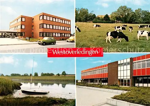 AK / Ansichtskarte Westoverledingen Rathaus Partie an der Ems Rinder auf der Weide Schule Westoverledingen