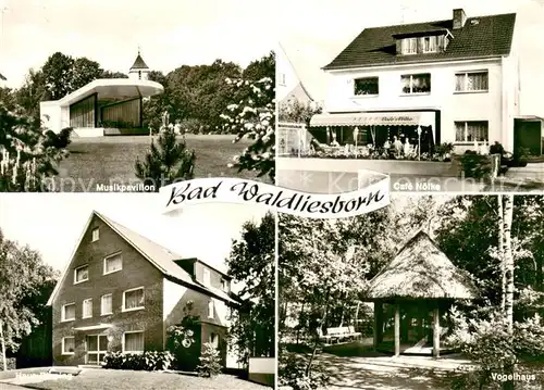 AK / Ansichtskarte Bad_Waldliesborn Musikpavillon Cafe Vogelhaus Kurhaus Bad_Waldliesborn