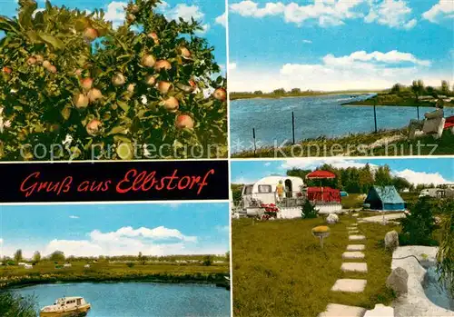 AK / Ansichtskarte Elbstorf_Elbe Apfelbaum Panorama Campingplatz Elbstorf_Elbe