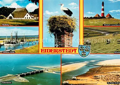 AK / Ansichtskarte Eiderstedt Haubang Tuemlauer Koog Storchennest Westerhever Leuchtturm Eiderdamm St Peter Ording Fliegeraufnahmen Eiderstedt