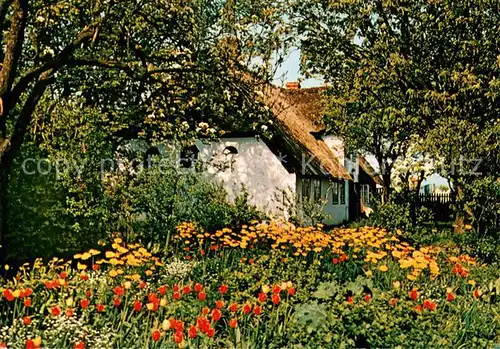AK / Ansichtskarte Keitum_Sylt Friesenhaus Keitum Sylt