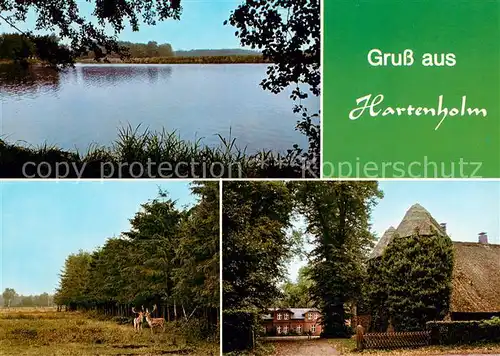 AK / Ansichtskarte Hartenholm Seepartie Hirsche Reetdachhaeuser Hartenholm