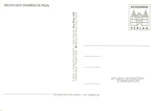 AK / Ansichtskarte Hambach_Neustadt Hambacher Schloss Dorfstrasse Fachwerkhaeuser Hambach_Neustadt