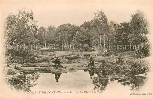 AK / Ansichtskarte Fontainebleau_Seine_et_Marne La Mare aux Fees Fontainebleau_Seine