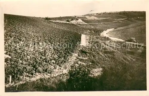 AK / Ansichtskarte Chablis Les Vignes Vallee de Vaudesir Chablis