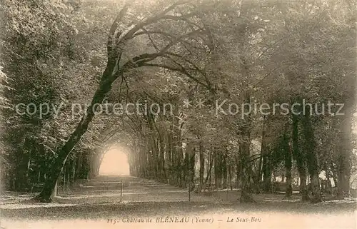 AK / Ansichtskarte Bleneau Le Sous Bois Bleneau