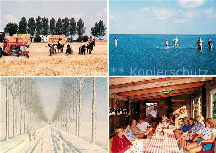 AK / Ansichtskarte Kaiser Wilhelm Koog Kurse Hof Ponyreiten Badespass