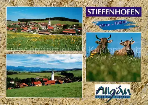 AK / Ansichtskarte Stiefenhofen Panorama Kirche Kuehe Stiefenhofen