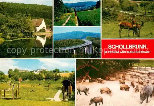 AK / Ansichtskarte Schollbrunn_Spessart Teilansichten Wildgehege Autobahnbruecke Schollbrunn Spessart