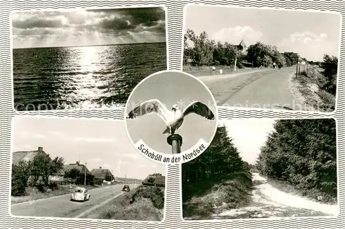 AK / Ansichtskarte Schobuell_Husum Sonnenuntergang an der Nordsee Strassenpartie Waldweg Moewe 