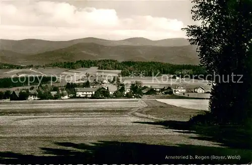 AK / Ansichtskarte Arnetsried Panorama Bayerischer Wald Arnetsried