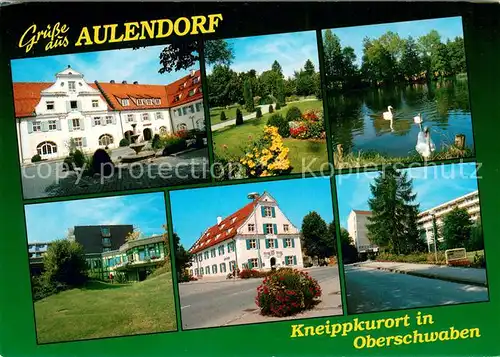 AK / Ansichtskarte Aulendorf Motive Kneippkurort in Oberschwaben Schwanensee Parkanlagen Aulendorf