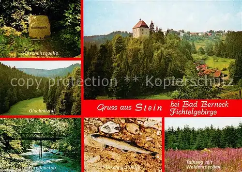 AK / Ansichtskarte Stein_Fichtelgebirge oelschnitzquelle oelschnitztal Forellensteg oelschnitzforelle Talhang mit Weideroeschen Burgkapelle Stein Fichtelgebirge