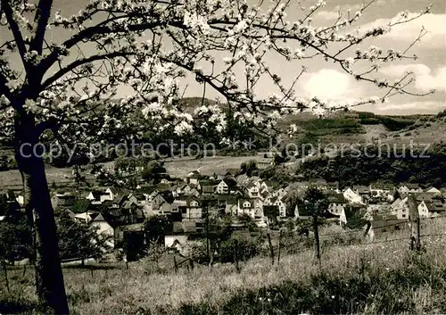 AK / Ansichtskarte Niederbreitbach Panorama Blick vom Besenacker Baumbluete Luftkurort im Wiedtal Niederbreitbach