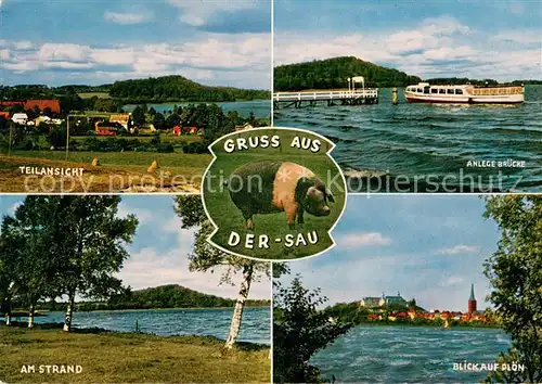 AK / Ansichtskarte Ploen_See Strand Anlegebruecke Fahrgastschiff Blick auf die Stadt Sau Ploen_See