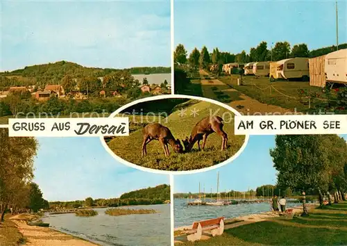 AK / Ansichtskarte Dersau Panorama Strand Wild Campingplatz am Grossen Ploener See Dersau