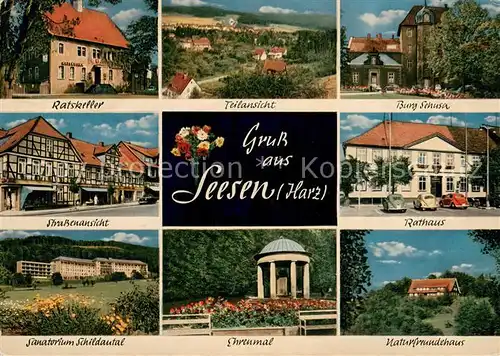 AK / Ansichtskarte Seesen_Harz Gaststaette Ratskeller Strassenansicht Sanatorium Schildautal Burg Sehusa Rathaus Naturfreundehaus Ehrenmal Seesen Harz