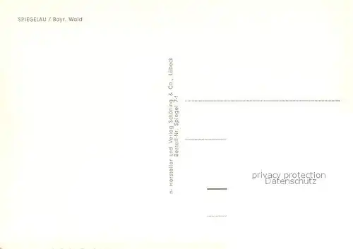 AK / Ansichtskarte Spiegelau Ortsansicht Spiegelau