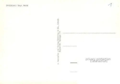 AK / Ansichtskarte Spiegelau Ortsansicht Spiegelau