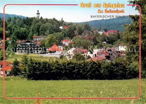 AK / Ansichtskarte Spiegelau Ortsansicht Spiegelau