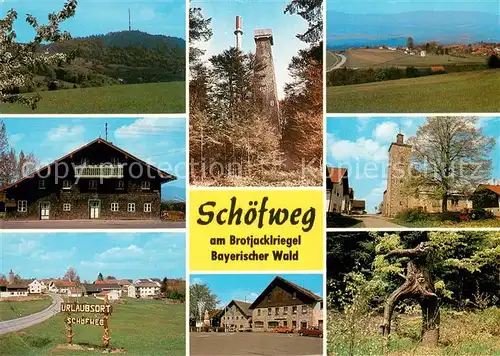 AK / Ansichtskarte Schoefweg Panorama Gasthaus Aussichtsturm am Brotjacklriegel Ortspartien Baumwurzel Schoefweg