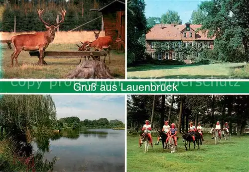 AK / Ansichtskarte Lauenbrueck Wildpark Rothirsche Eselreiten Wiesensee Gutshaus Graf von Bothmer Lauenbrueck