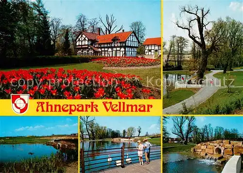 AK / Ansichtskarte Vellmar Ahnepark Vellmar Teilansichten Vellmar