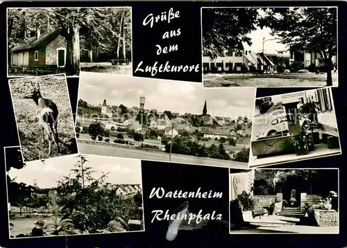 AK / Ansichtskarte Wattenheim_Pfalz Orts und Teilansichten Wattenheim Pfalz