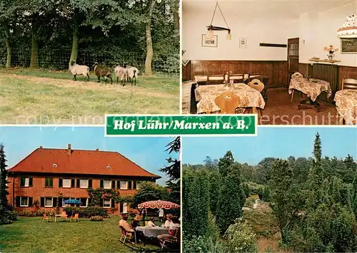 AK / Ansichtskarte Marxen_Berge Hof Luehr Lueneburger Heide Schafe Urlaub auf dem Bauernhof Marxen Berge
