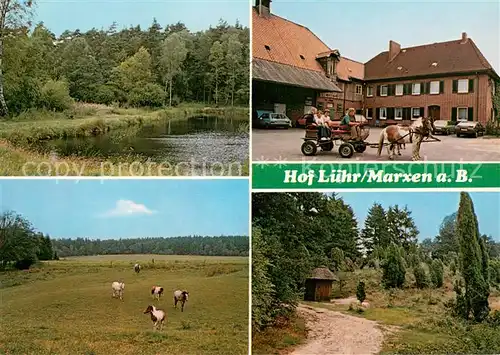 AK / Ansichtskarte Marxen_Berge Hof Luehr Lueneburger Heide Schafe Urlaub auf dem Bauernhof Marxen Berge