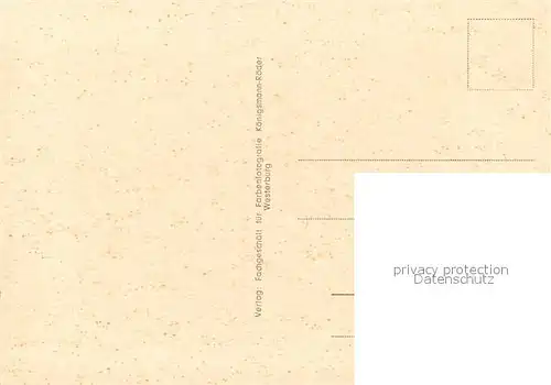 AK / Ansichtskarte Westerburg_Westerwald Stadtpanorama Bruecke Schloss Maerchenpark Westerburg_Westerwald