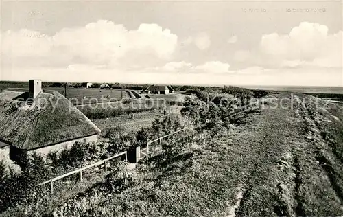 AK / Ansichtskarte Vollerwiek Deichlandschaft Vollerwiek