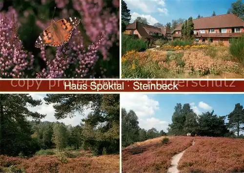 AK / Ansichtskarte Steinbeck_Luhe Haus Spoektal Heidelandschaft Steinbeck Luhe