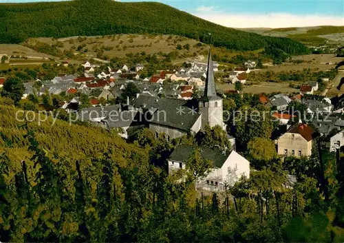 AK / Ansichtskarte Dreis_Wittlich Pension Haus Elisabeth Kirche Panorama Dreis Wittlich