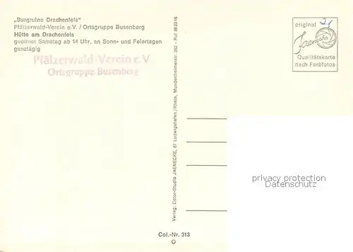 AK / Ansichtskarte Busenberg_Pfalz Burgruine Drachenfels Huette Panorama Busenberg Pfalz