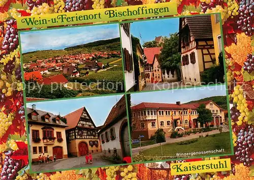 AK / Ansichtskarte Bischoffingen Panorama Ortsmotive Winzergenossenschaft Bischoffingen