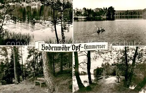 AK / Ansichtskarte Bodenwoehr Partien am Hammersee Bodenwoehr