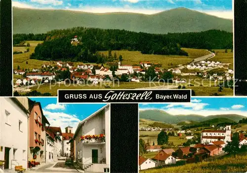AK / Ansichtskarte Gotteszell Panorama Dorfstrasse Teilansicht Gotteszell