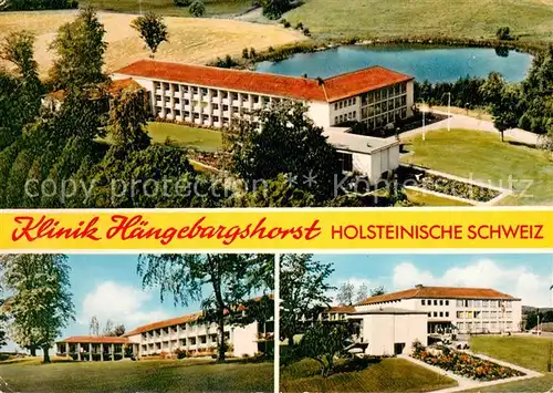 AK / Ansichtskarte Holsteinische_Schweiz Klinik Haengebargshorst Details Holsteinische_Schweiz